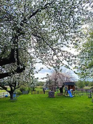 Gospodarstwo Agroturystyczne Daleko Od Szosy - Pokoje I Domek Brody  Exterior photo